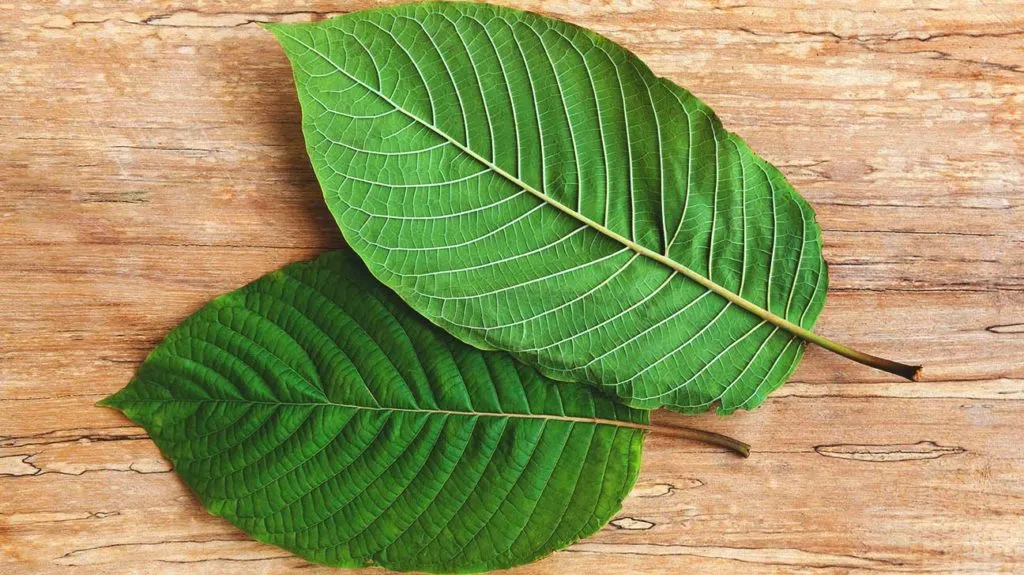 best kratom